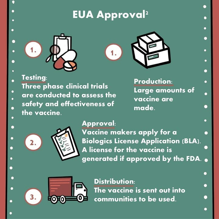 chiasma_science's tweet photo. Our COVID vaccines were Emergency Use Authorized instead of FDA approved. What does this mean?

(By @beeedimatteo)

#sciviz #sciart #COVID19 #scicomm #COVID19ON #CovidVaccine https://t.co/p3b1BLSO1m