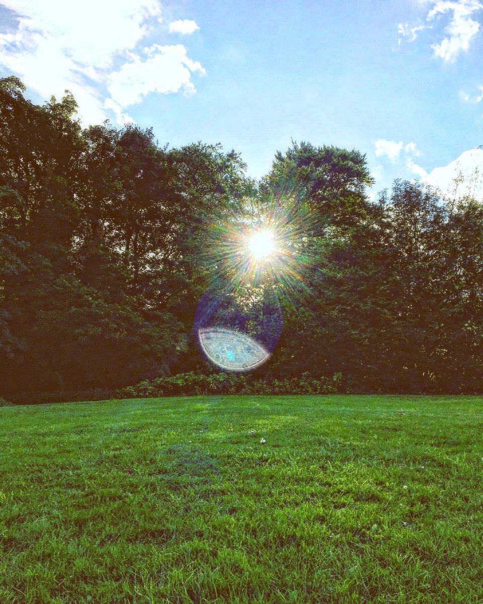 Charlotte Lunn | She/Her tweet media