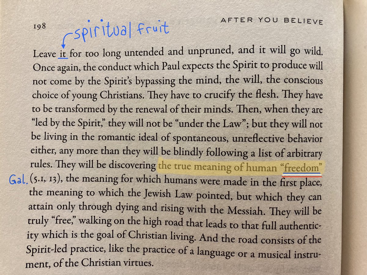 ADHSFCA's tweet photo. Grateful to live in a time and place where we have the ability to pursue the freedom of Christ. https://t.co/JOAaFbxSat