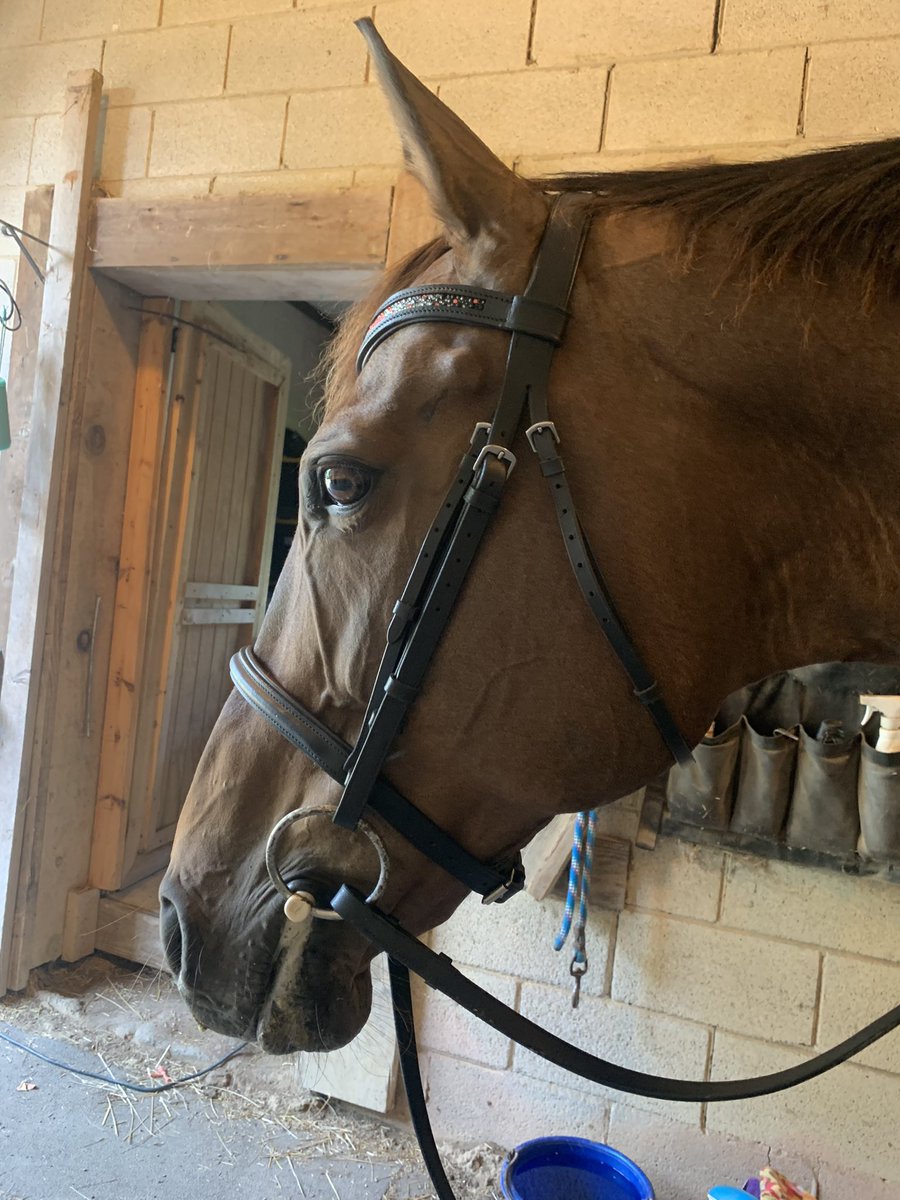Katie Harris (@katie94603725) on Twitter photo Happy 4th y’all! #grillingitup #4thofJuly #orangelife #ottb #WorkLifeBalance #feedthepeople <a href="/DepotMatt/">Matthew Shorr</a> @thd_young <a href="/Rgordon70/">Rohan Gordon</a> <a href="/0735Sasm/">Kevin.SASM.0735</a> @AndreaMcTHD Happy 4th y’all! #grillingitup #4thofJuly #orangelife #ottb #WorkLifeBalance #feedthepeople <a href="/DepotMatt/">Matthew Shorr</a> @thd_young <a href="/Rgordon70/">Rohan Gordon</a> <a href="/0735Sasm/">Kevin.SASM.0735</a> @AndreaMcTHD