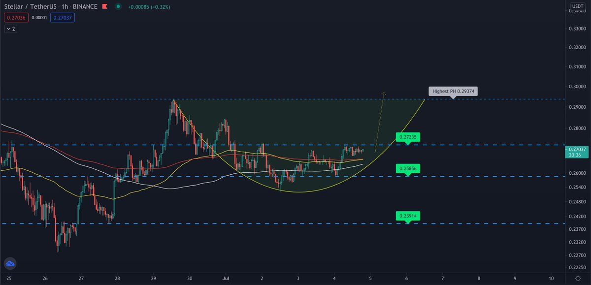 Shelby tweet media