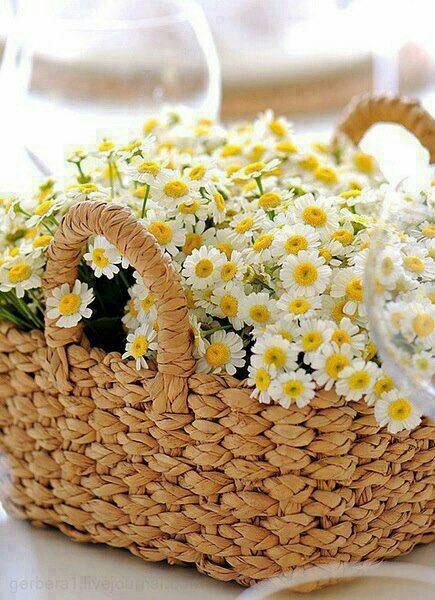 AlAhlyExtra's tweet photo. @jrilll #چـــــوري 💛💜

#ملك_الدعم ♣️ https://t.co/DutZtIo0gW
