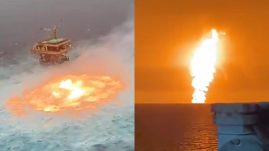 West LA Résistance 🌊🇺🇸⚖️🗽 tweet media