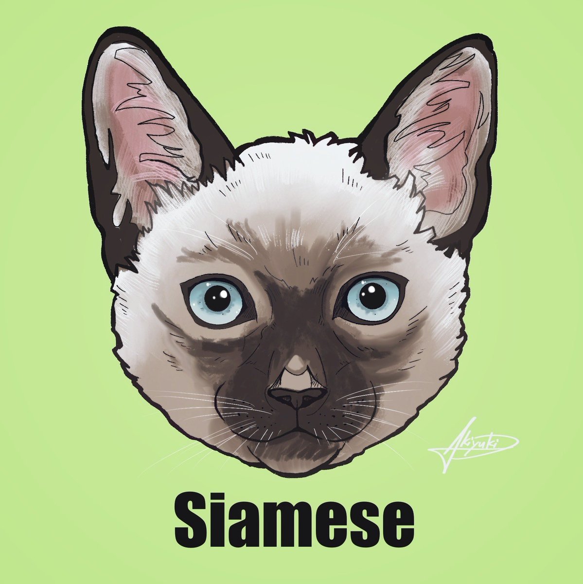 Twoucan シャム猫 の注目ツイート イラスト マンガ コスプレ モデル Twoucan シャム猫 の注目ツイート イラスト マンガ コスプレ モデル