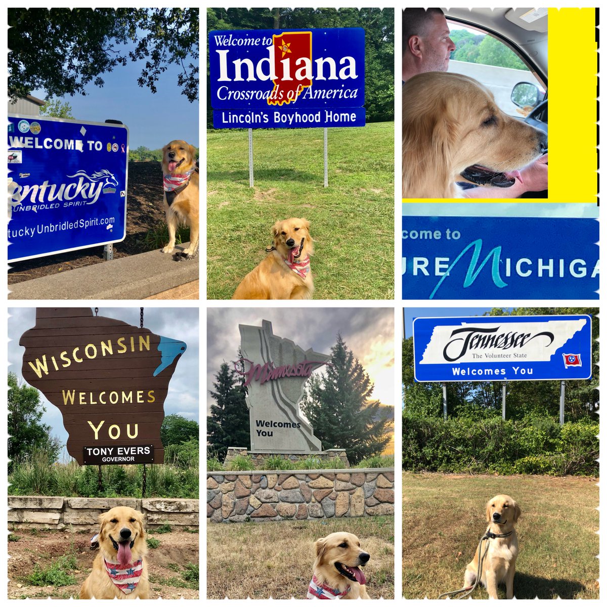 Paddyspurpose01 tweet media