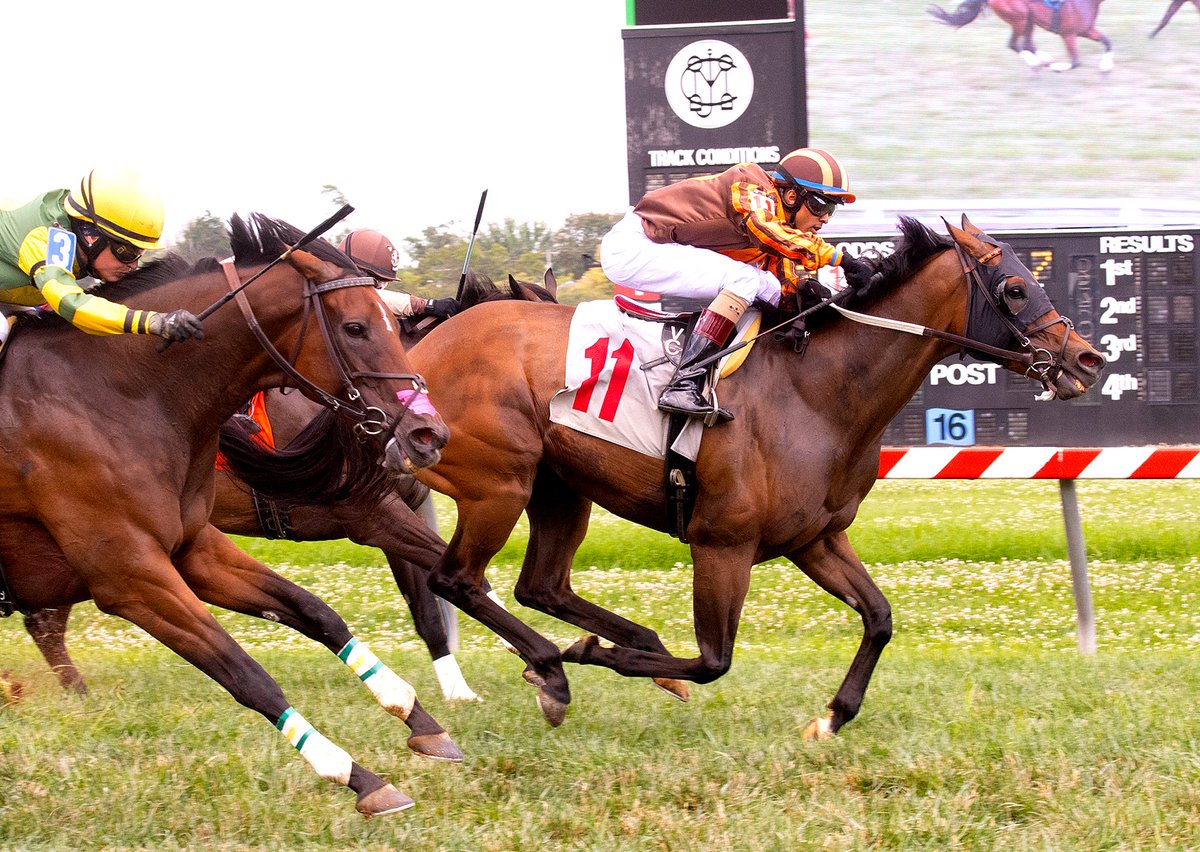 ELLANATION and ⁦@VCarrasco28⁩ jammin’ in the Jameela for ⁦@trombetta_mike⁩ 📸 Jim McCue photo