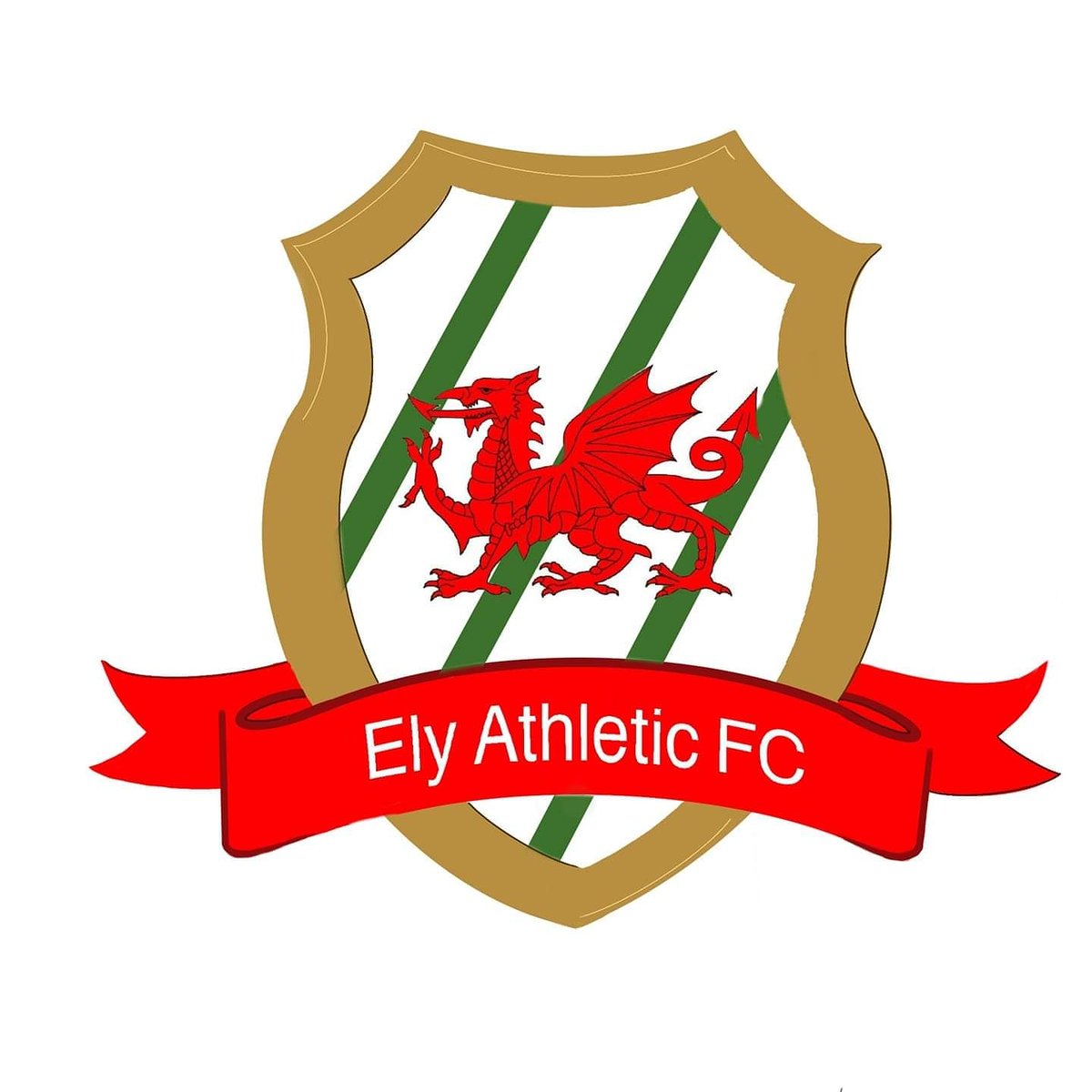 Ely Athletics FC tweet media