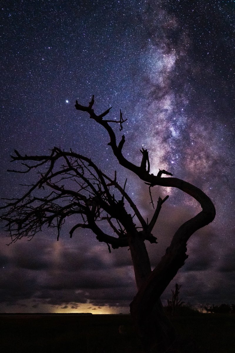 EvergladesNPS's tweet photo. Here in the Everglades, the stars are our fireworks. ✨ Happy Independence Day from all of us at Everglades National Park! 

Pic: @Anthsleiman https://t.co/KSpBu2Y6tG
