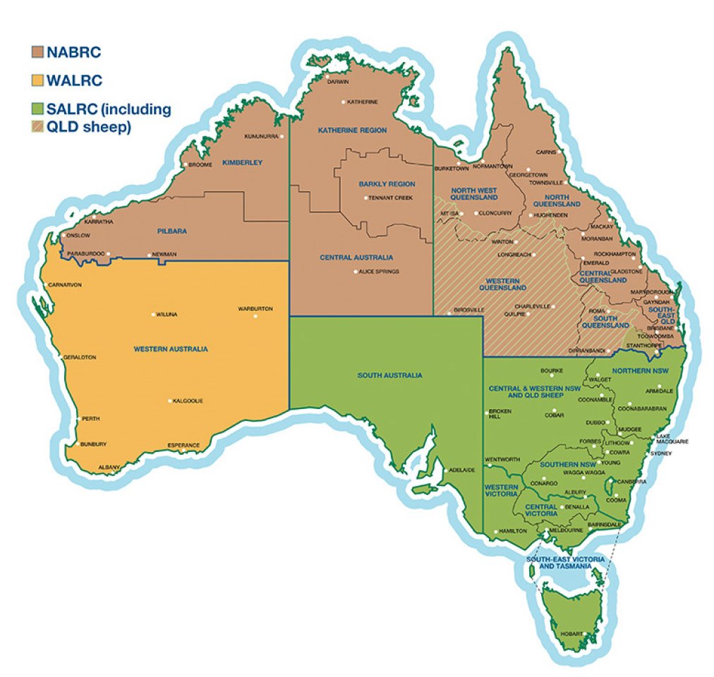 If you would like to have more input into the direction of beef and rangelands research in northern Australia, here is your chance! The North Australia Beef Research Council is in need of 3 new Chairs and producer members across the state.  #beefresearch bit.ly/3x5k1tk