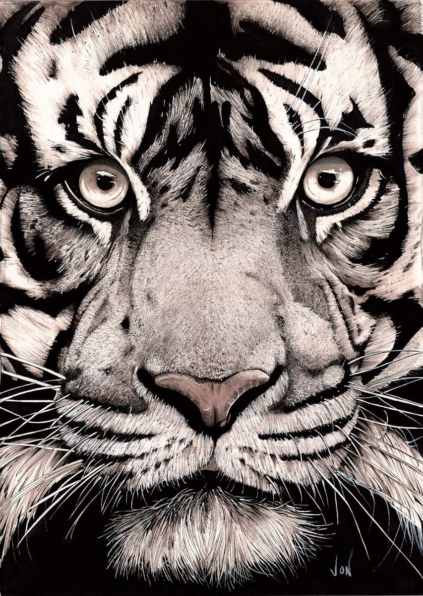 Dibujo con rotuladores y tinta. 
Tamaño  A2.
Me ayudas con un RT 🔁 🔁???