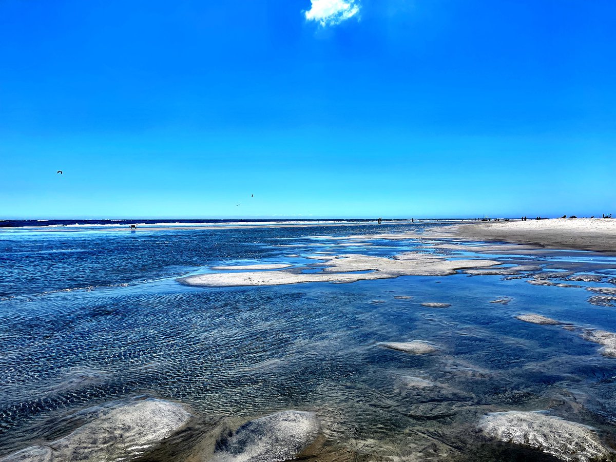 John  D'Antonio tweet media