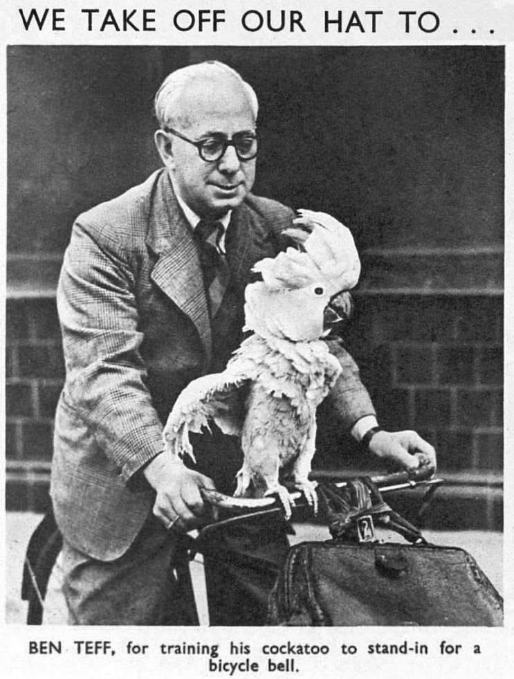 yesterdaysprint's tweet photo. The Sketch, England, April 12, 1950 https://t.co/pv3nrBgTOE