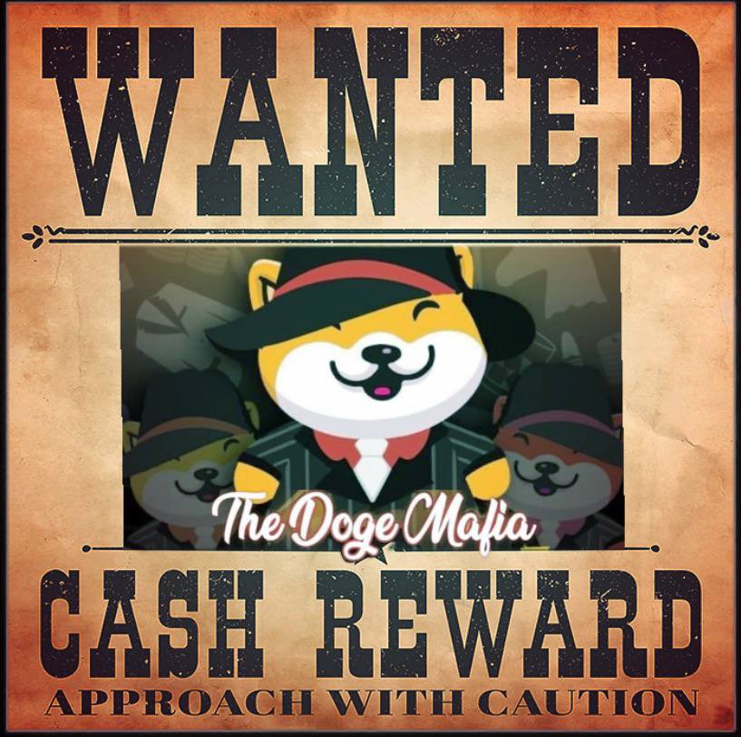 JBlue43892990's tweet photo. #TheDogeMafiaBsc #IndependenceDay #sundayvibes #100xCoin #cryptocurrencies #CryptoNews TheDogeMafia is starting from the bottom! Newly fair launched! FOMO! Great early 💎investment! MC is just under 1K! Big Marketing at 9PM Pac.Time! CA: 0x0b78B7Dd218f688e477D16EE0b3A4A95482e5A05 https://t.co/Efva0xLSN1