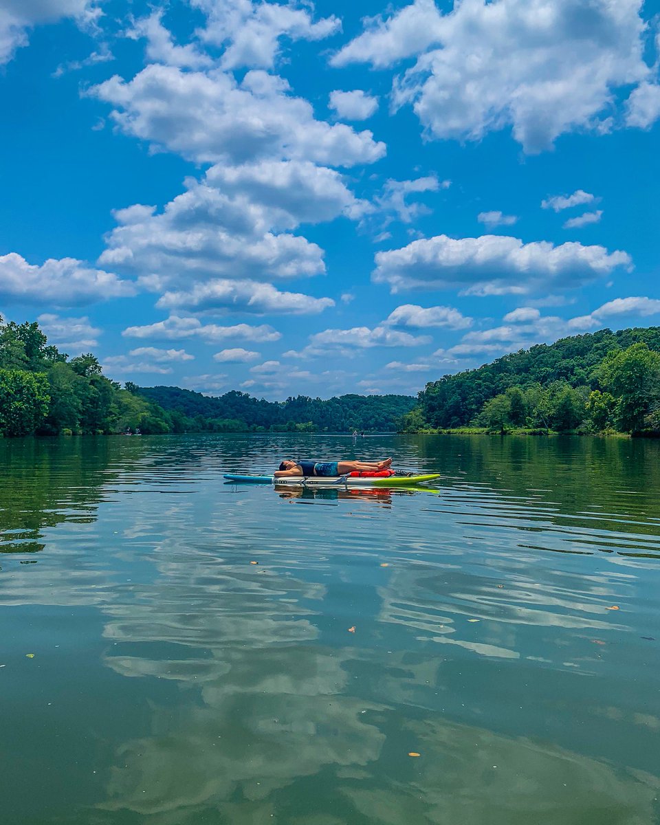 Christian Mendonça tweet media