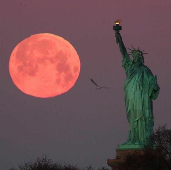 Qachon ko'rishamiz USA