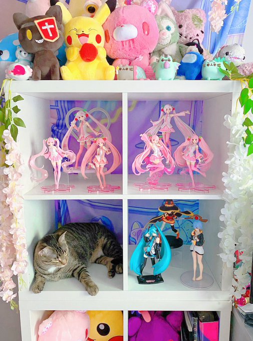 Reorganized a little ^u^ 🌸💕 https://t.co/1k6lENZV9V