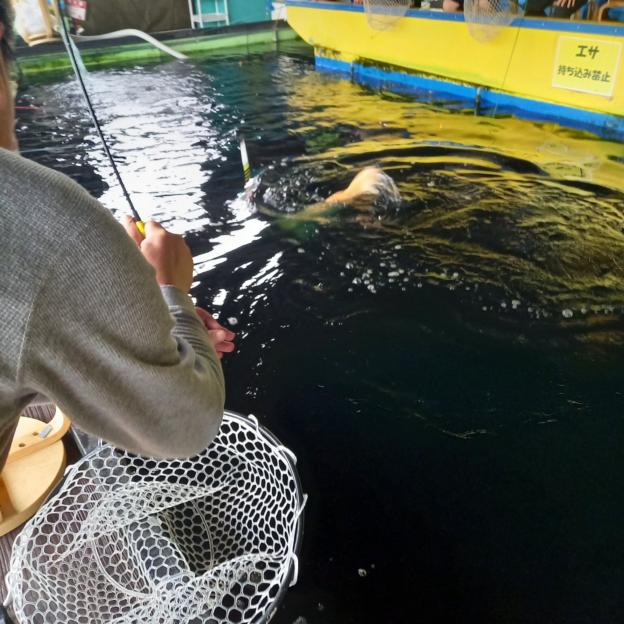 つり堀太郎八千代店 令和 Tsuriboritaro Twitter