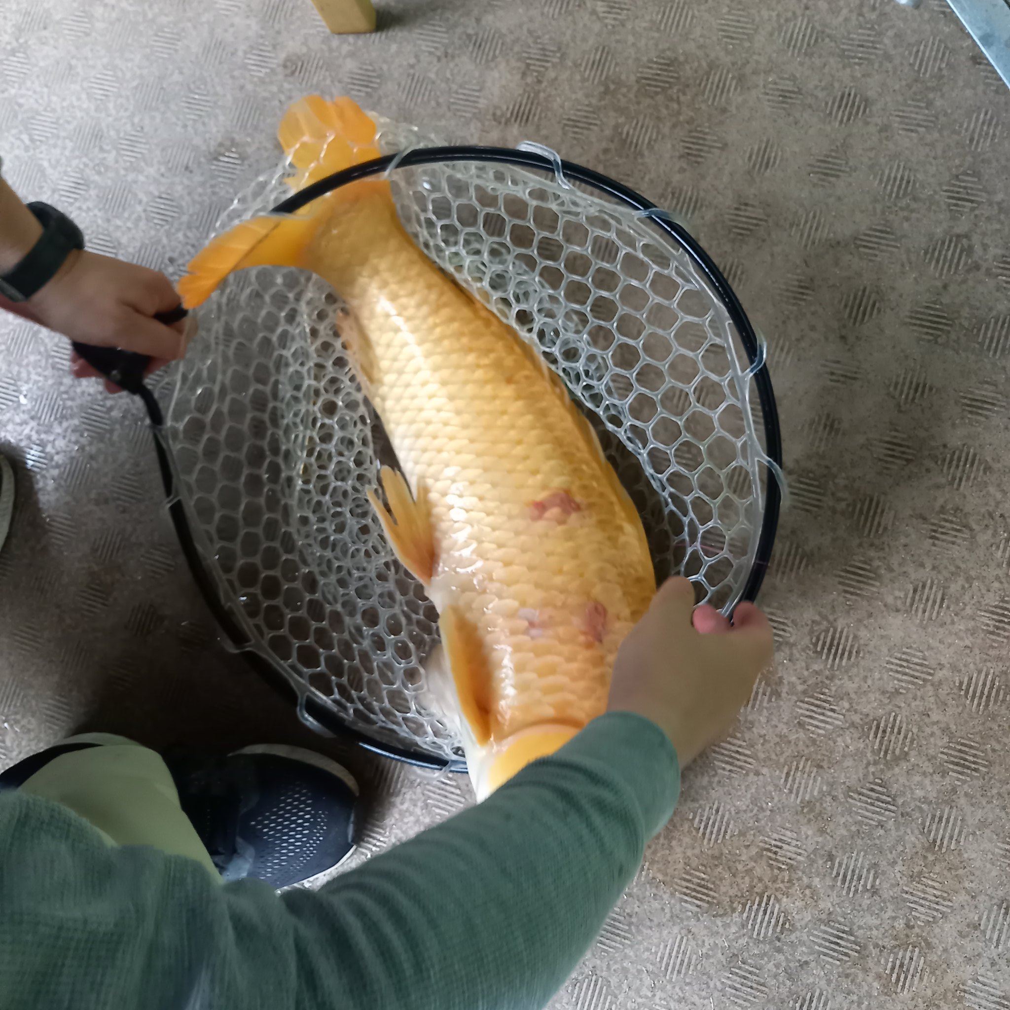 つり堀太郎八千代店 令和 Tsuriboritaro Twitter