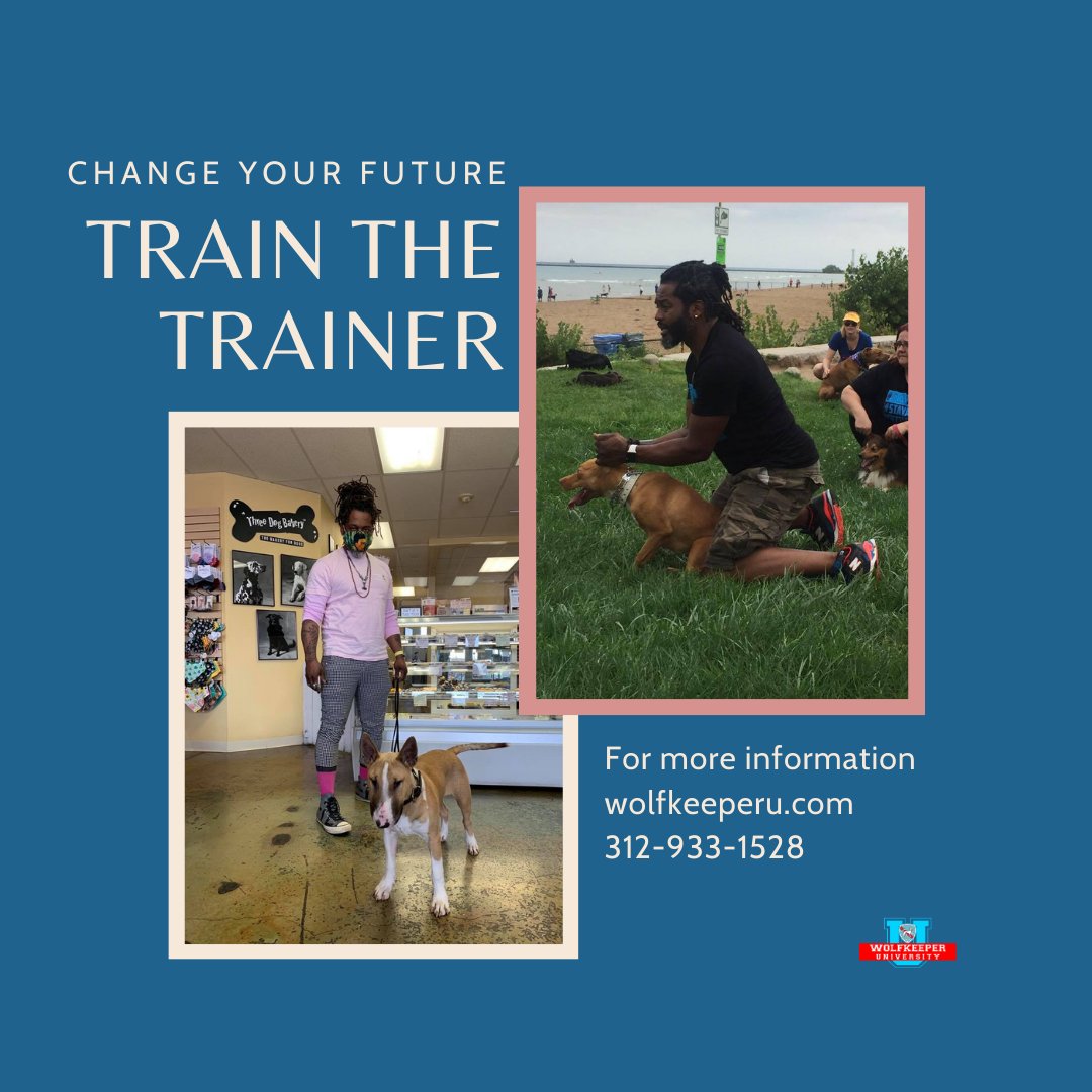 toriano_sanzone's tweet photo. 6 Months of Intense Dog Training!!
Master Dog Trainers will train and teach you all of their experience since they started training Dogs.
Sign up to be a Dog Trainer!
312-933-1528 | https://t.co/biNpakzhfx
#dogtraining #dogtrainer #DogBootcamp #dogtrivia #dog #dogtrainer #DOGA https://t.co/N9ZLCSnUph