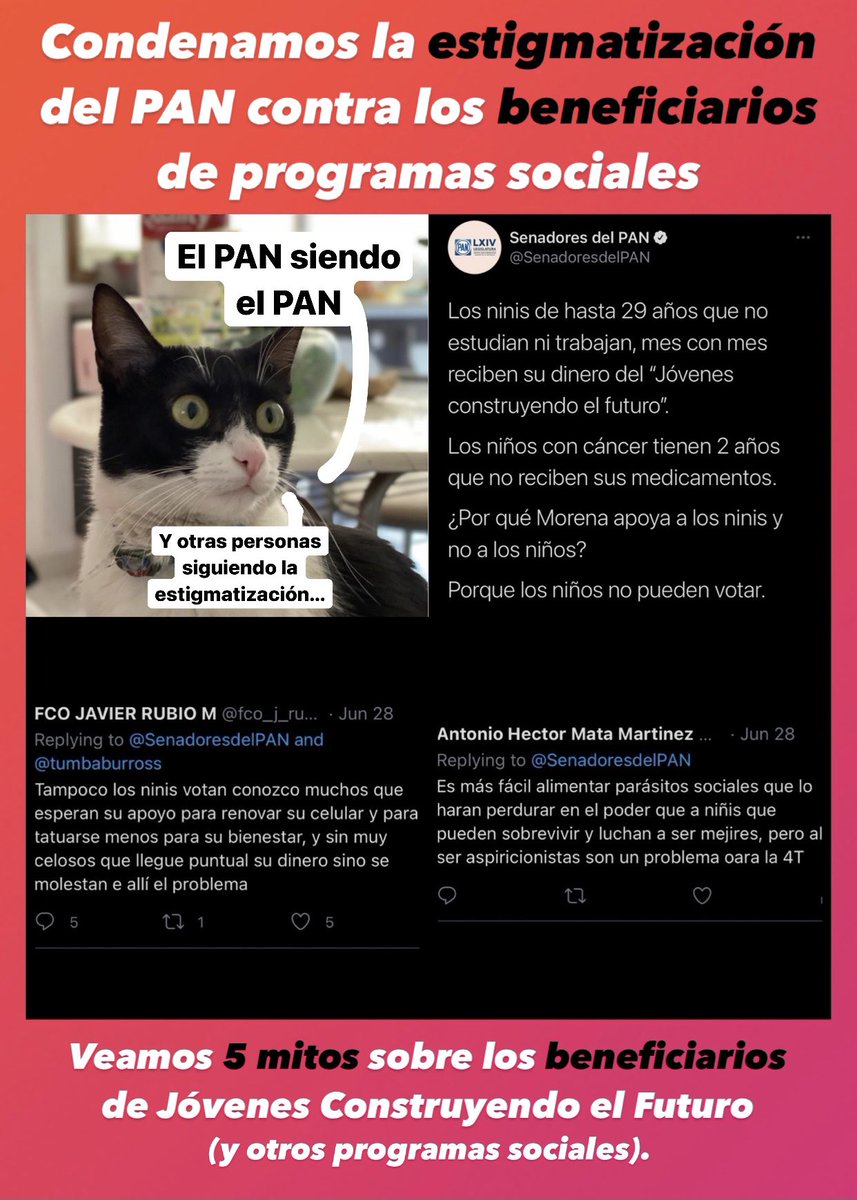 Gatitos contra la Desigualdad tweet media