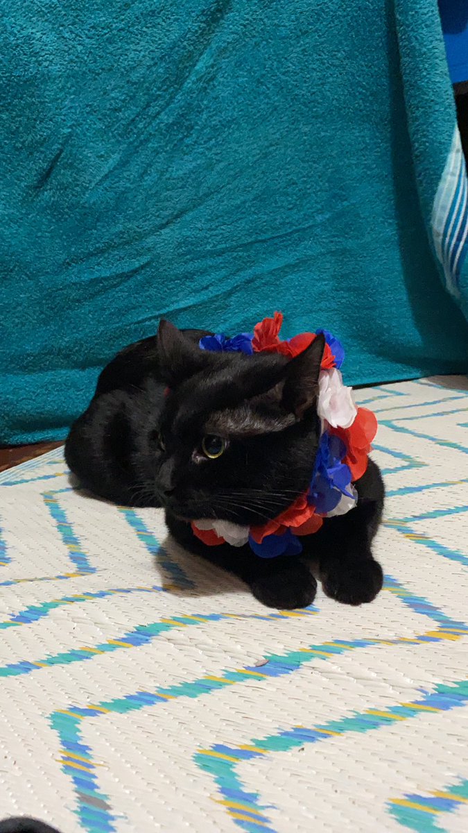 efrain_arnoldo's tweet photo. Disfrutando un buen July 4!!#Telemundo62
#July4thPhilly https://t.co/o6w1Im8Ppg