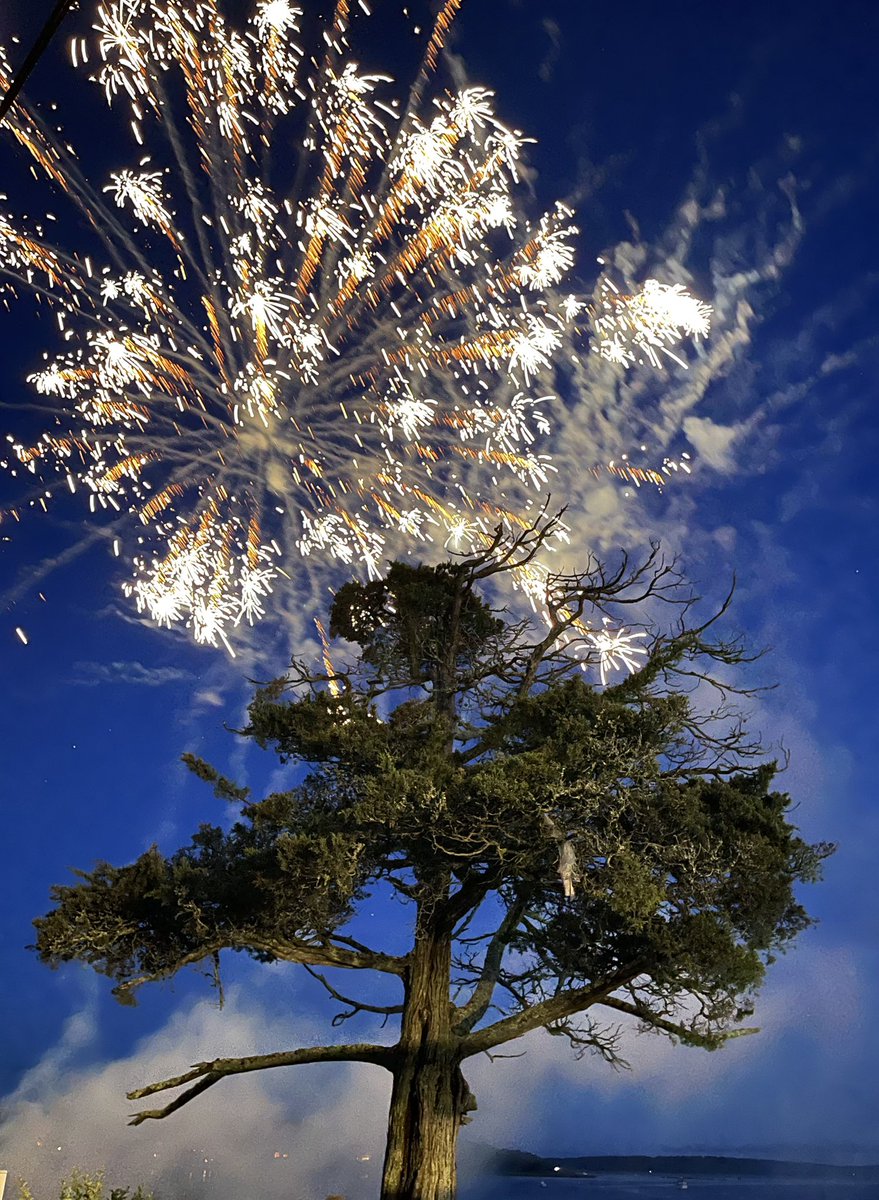 SimplySuzy's tweet photo. Fireworks are still going off all around us and hundreds of people are still watching them as I post these photos (no filters!) !!! This #PostCardPoint tree is starting to grow on me. 🌳Happy Fourth of July everyone! 🇺🇸 #4thofjuly #independenceday #LetFreedomRing https://t.co/igavTUylv8