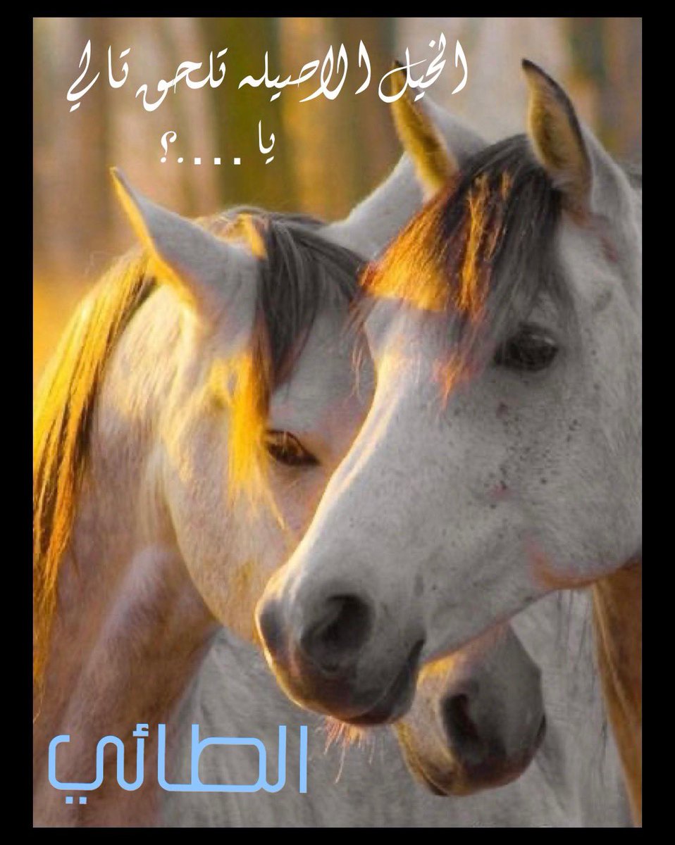 #الطائي_فخررررر
