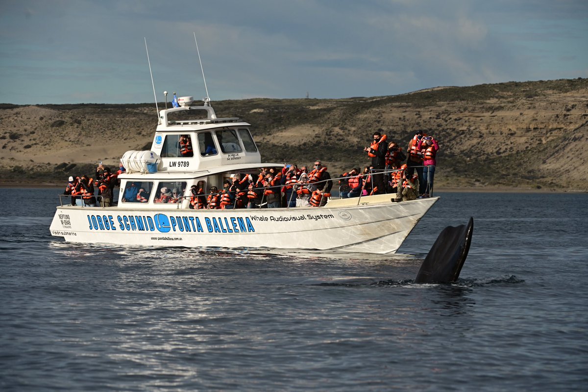 maxijonas's tweet image. ¡Que alegría poder volver a hacer fotos así!