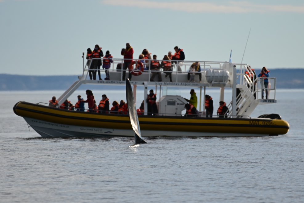 maxijonas's tweet image. ¡Que alegría poder volver a hacer fotos así!