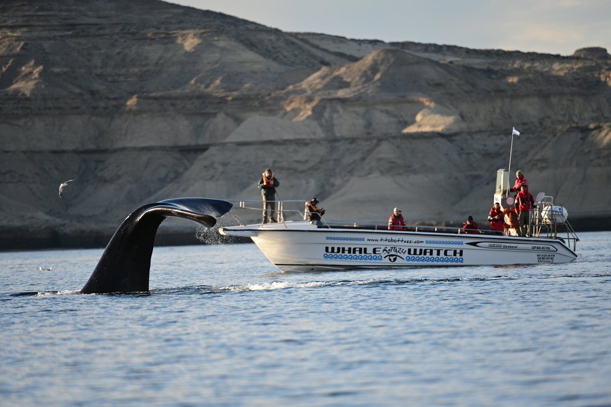 maxijonas's tweet image. ¡Que alegría poder volver a hacer fotos así!