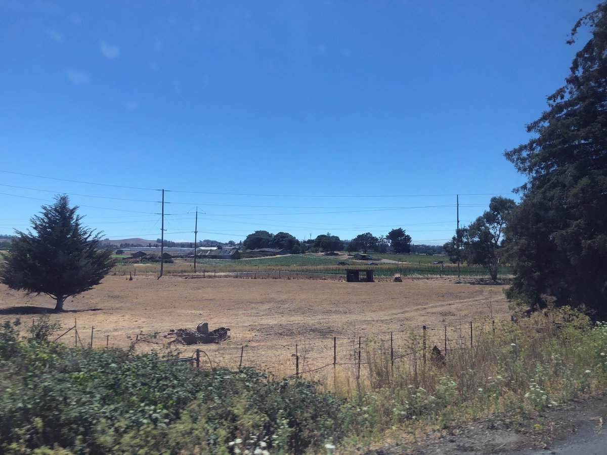 TheFamilyAliens's tweet image. #BusCheck #TripCheck