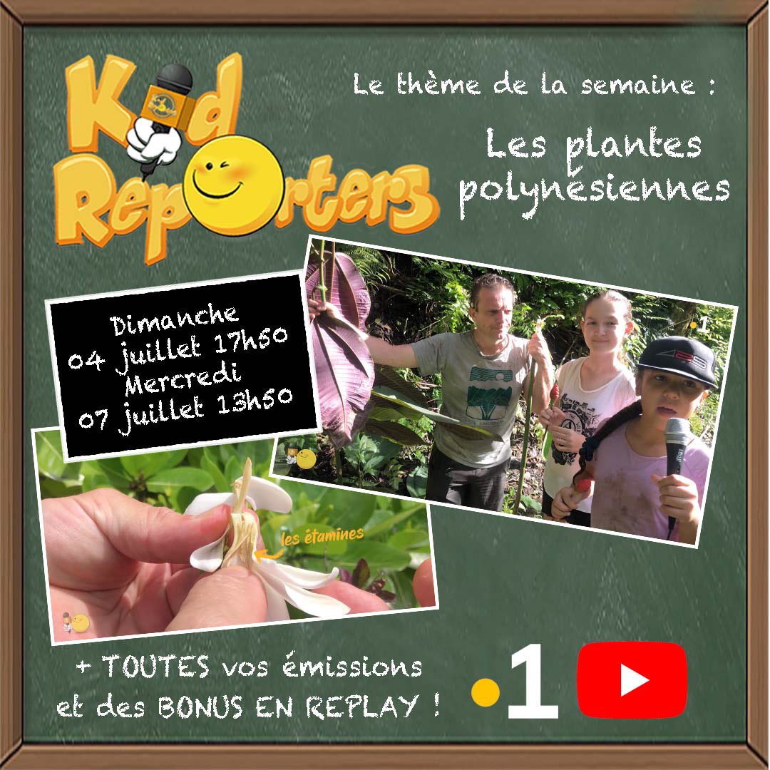 HeleneLeroyer's tweet photo. @Kid_Reporters Le thème de la semaine : les plantés polynésiennes 

Redécouvrez vos émissions #Kidreporters tous les dimanches et mercredis, mais aussi sur notre chaîne Youtube https://t.co/xrKCd88r2l 
et le site de Polynésie la 1ère https://t.co/u0PjWg9kmO https://t.co/qsIEtxjUUb