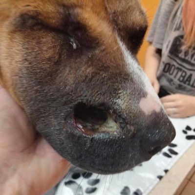 errndf's tweet image. #NewProfilePic