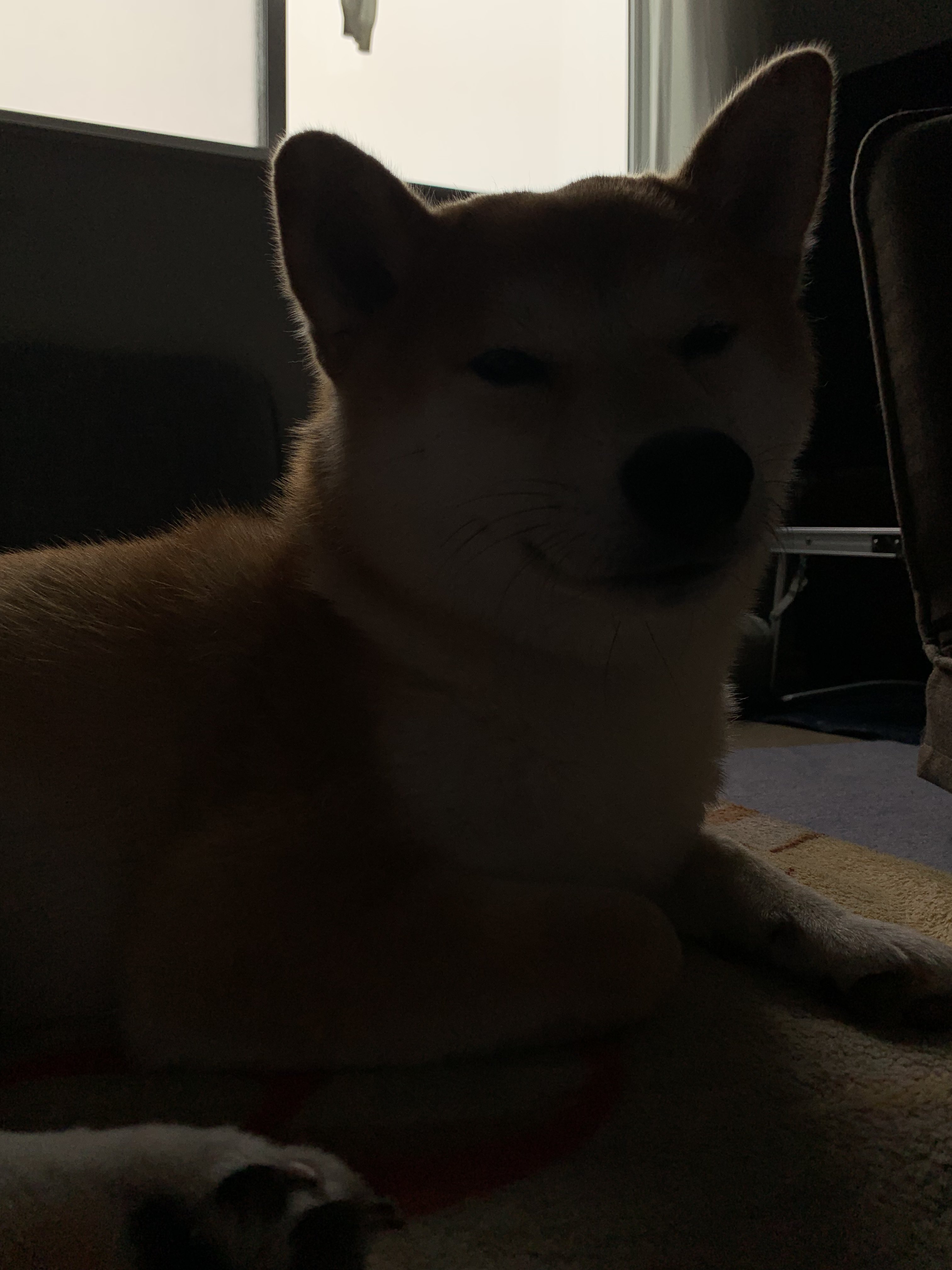 グレード3 Twitter Search Twitter