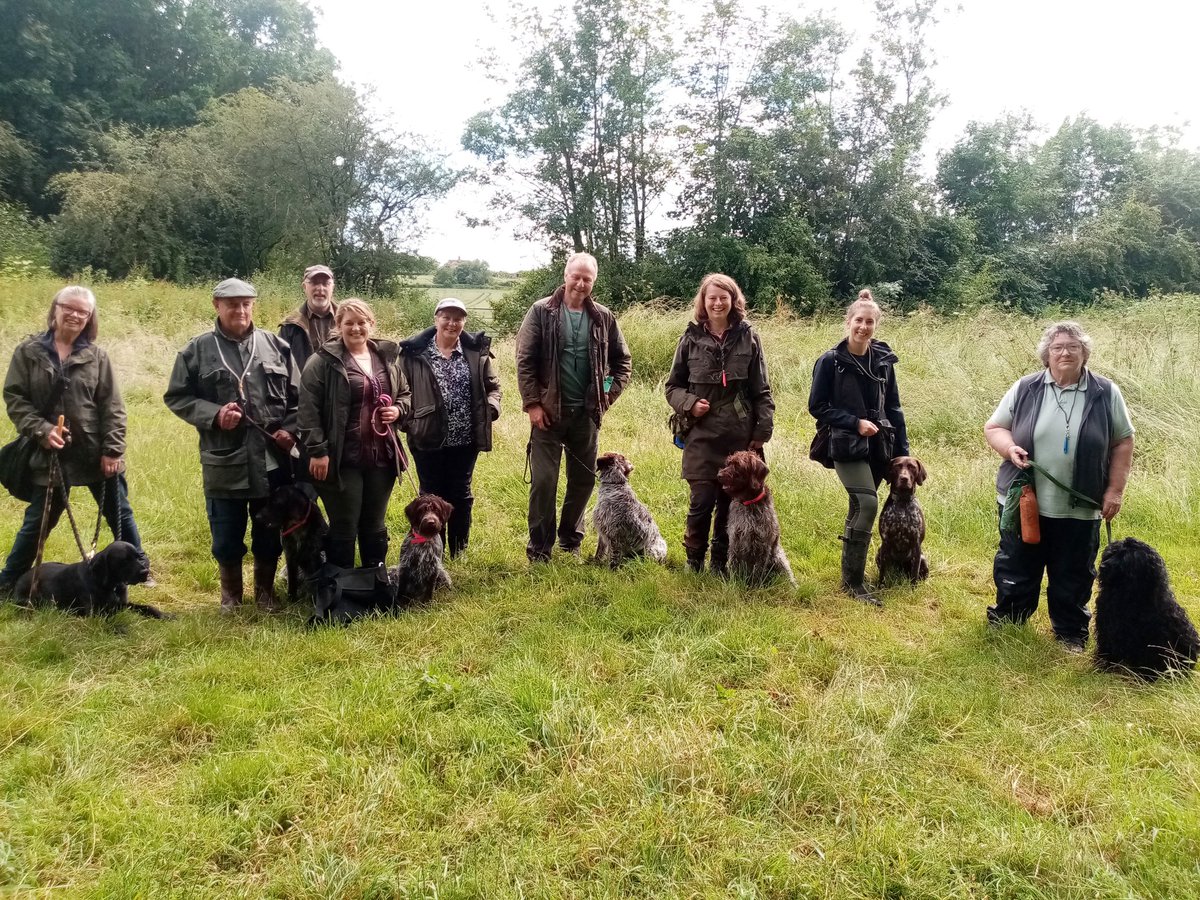 How was everyone's weekend? We've had a fabulous day training with Eshaldwell Gundog Training and can't wait until our next date with them! Thank you Stevie &amp; Steve #korthalsgriffon #gundog