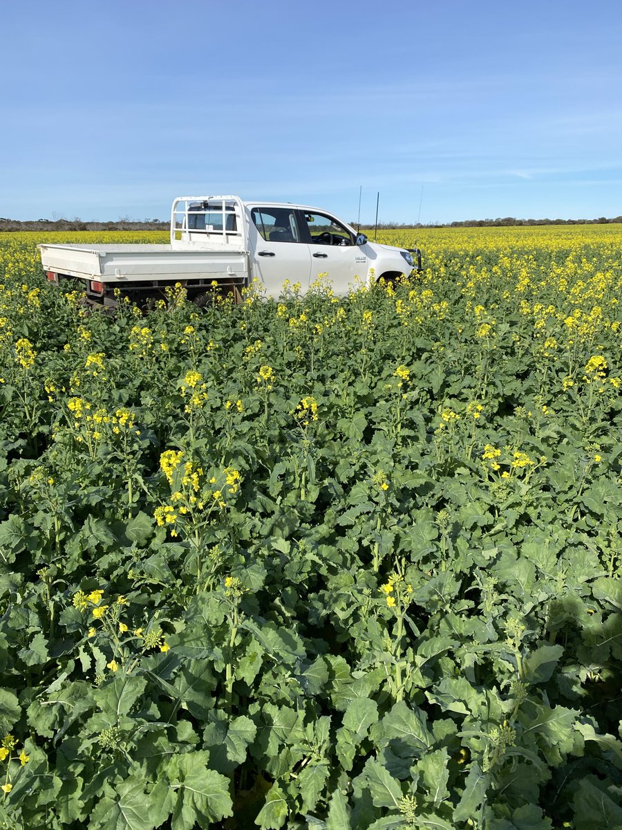 410XX looking ok @ the moment, fingers crossed