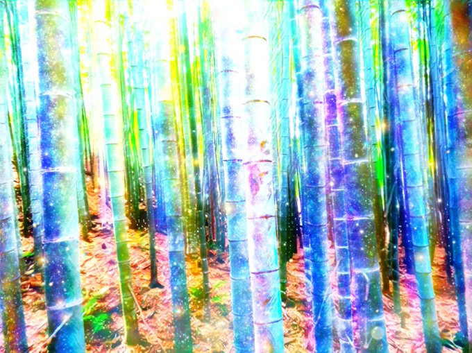 竹林の小径のtwitterイラスト検索結果 竹林の小径のtwitterイラスト検索結果