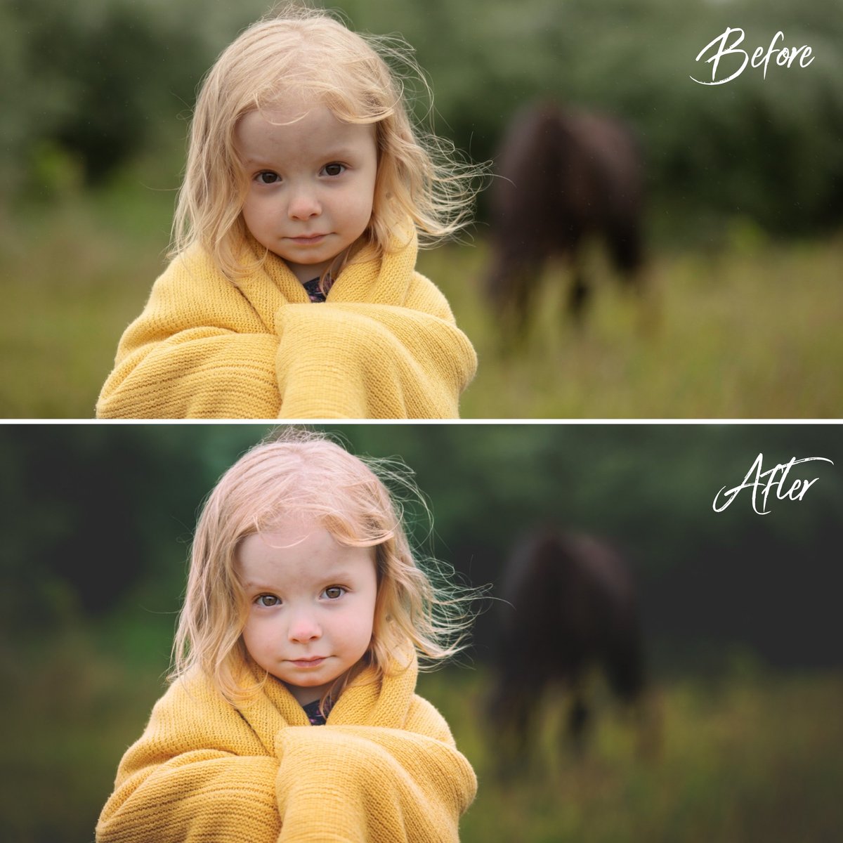 countryrosetog's tweet photo. Before and after https://t.co/CyEQrJhyb9