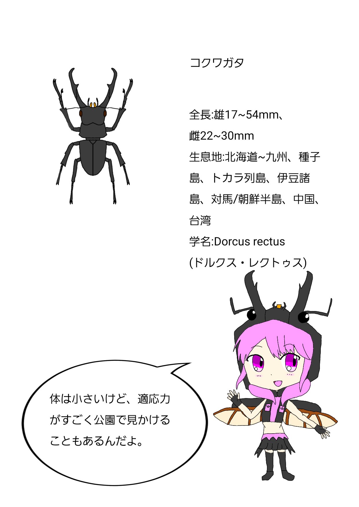 人外が好きなlittle A 昆虫図鑑風イラストを描きました 今回はコクワガタfeat 丸山彩 黒だけでなく茶色い体色のものもいるらしいですね イラスト イラスト好きな人と繋がりたい イラスト好きさんと繋がりたい バンドリ 丸山彩 コクワガタ