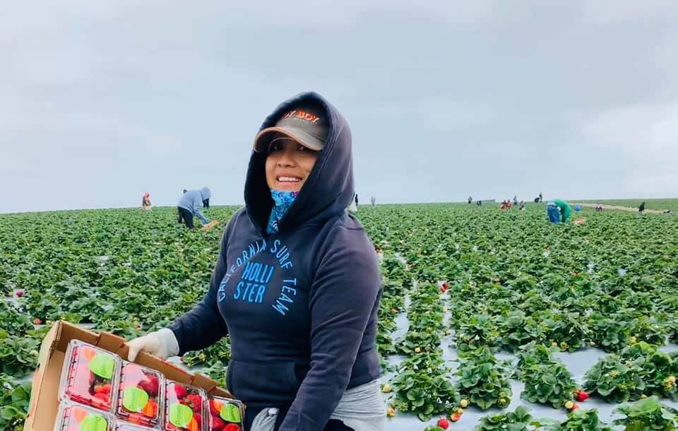 United Farm Workers tweet media