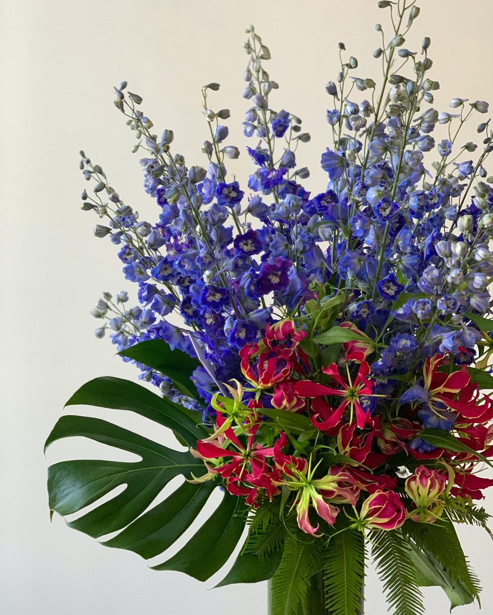 Floral Fireworks for your feed.  #fireworks #floralfireworks #gloriosalily #delphinium #julyfourth #redwhiteandblue #patriotic #modern #helenoliviaflowers