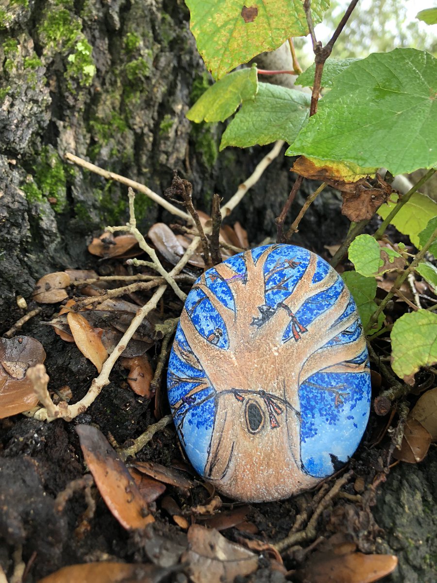 ZHEbuzz's tweet image. 20: #Wishtree @kaaauthor @minitreehouse  What would you wish for? Hidden on the trunk of a #liveoak #legacytree as of 4:03 pm 07/04/21 #readingrocks #rockart #katytx #paintedrock #summerreading #wish #bluebonnetbook #red #bongo #community #treeclimbing #rockhunt #tree