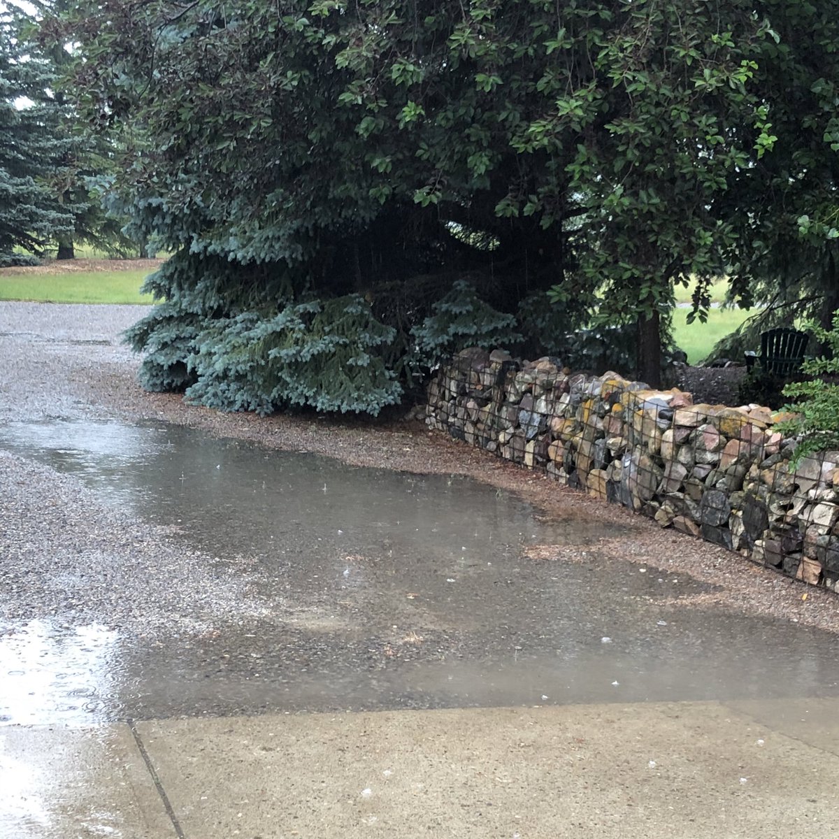 Something we haven’t seen enough of lately... a puddle.
