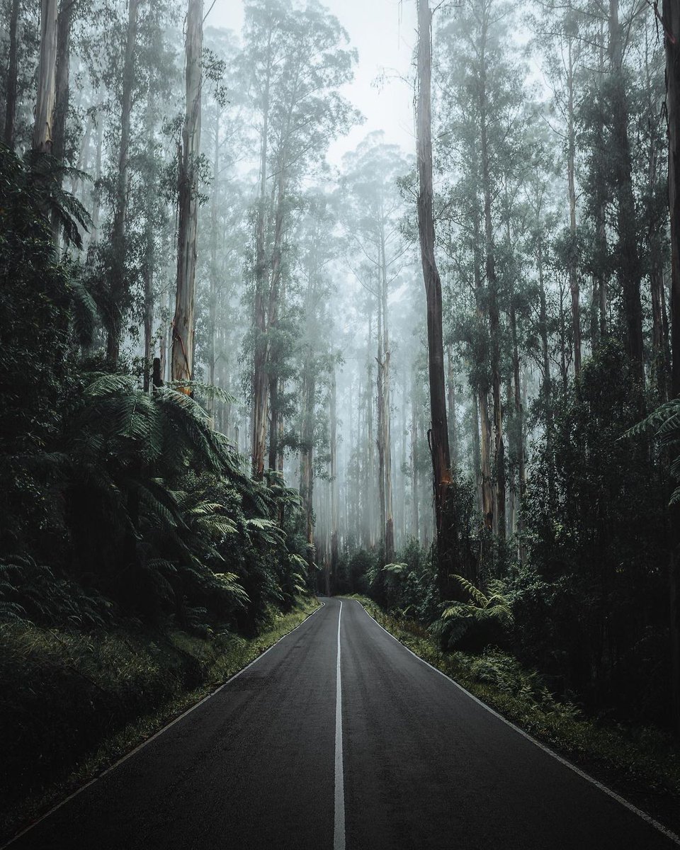 Adventure Spots ☼ tweet media