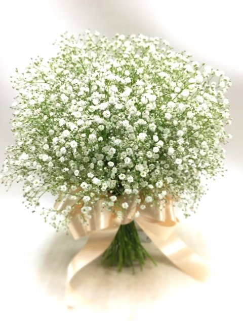 ミリオンスターのtwitterイラスト検索結果