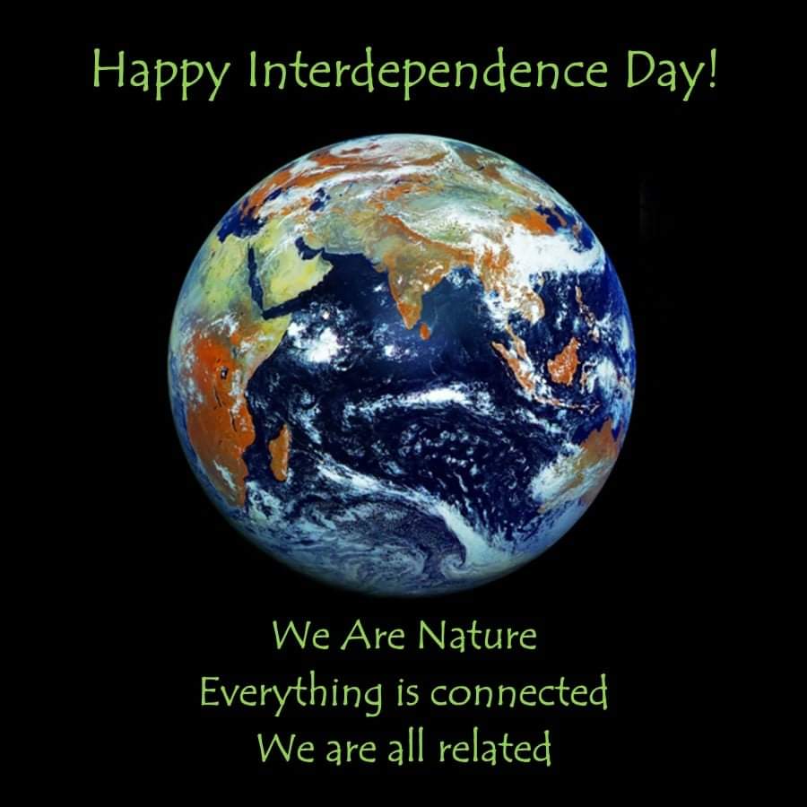 PennieOpal's tweet photo. Happy #interdependenceday! https://t.co/59IkcxKFFY