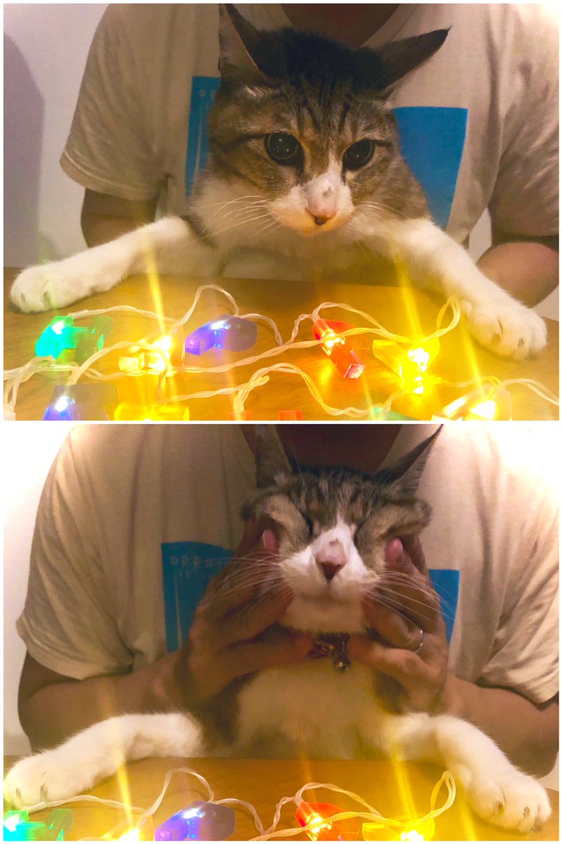 MAN@4/13アカイエ tweet media