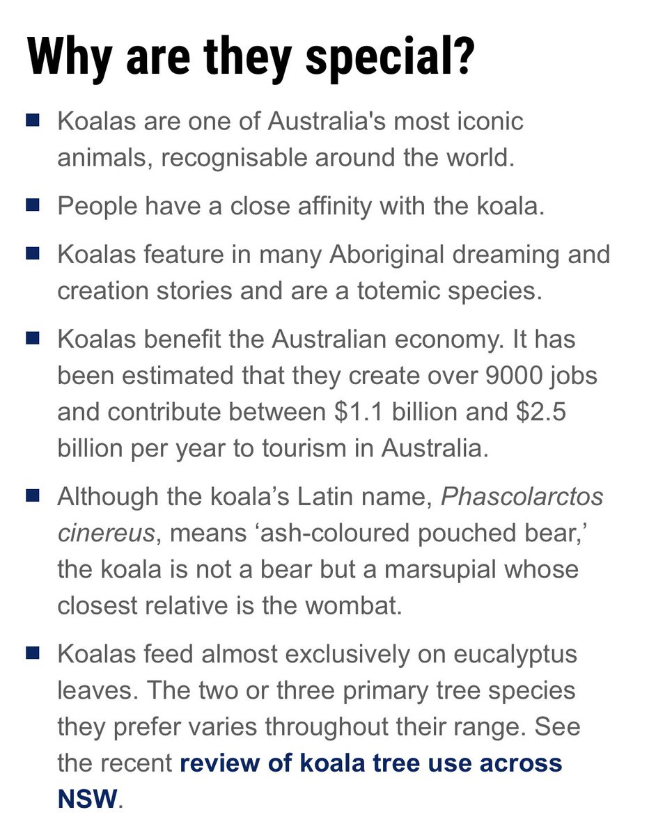 Kylie Parker tweet media