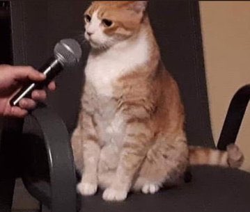 Guarromantico_'s tweet image. — ¿Te gusta?
— Sí, mucho.
— ¿Y tú le gustas?