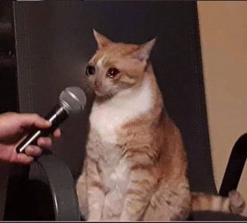 Guarromantico_'s tweet image. — ¿Te gusta?
— Sí, mucho.
— ¿Y tú le gustas?